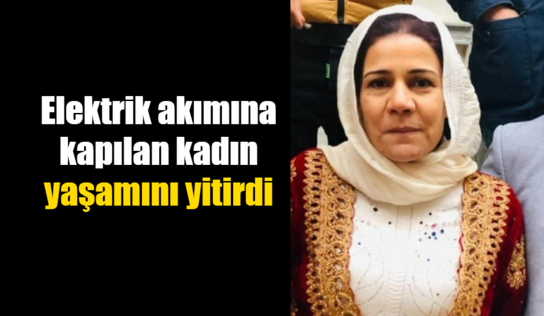 Elektrik akımına kapılan kadın yaşamını yitirdi Suruç ilçesinde Yıldırım Mahallesi'nde meydana gelen olayda, 44 yaşındaki Emine
