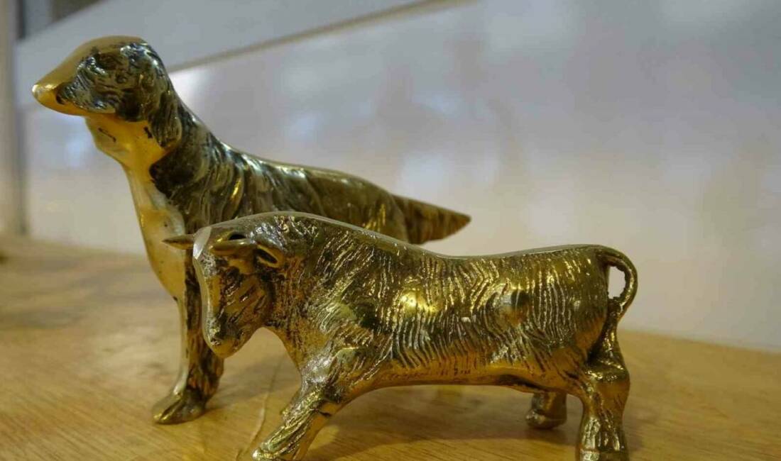 Gaziantep'te yaşayan Senem Sevdim, eşine yardım etmek amacıyla bir yıl