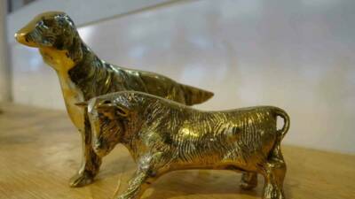 Gaziantep'te yaşayan Senem Sevdim, eşine yardım etmek amacıyla bir yıl