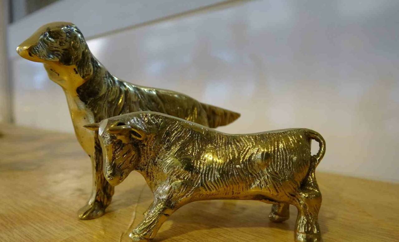 Gaziantep'te yaşayan Senem Sevdim, eşine yardım etmek amacıyla bir yıl