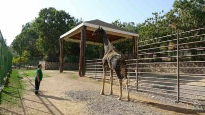Gaziantep Doğal Yaşam Parkı'nın maskotu olan ve uzun yıllar eş