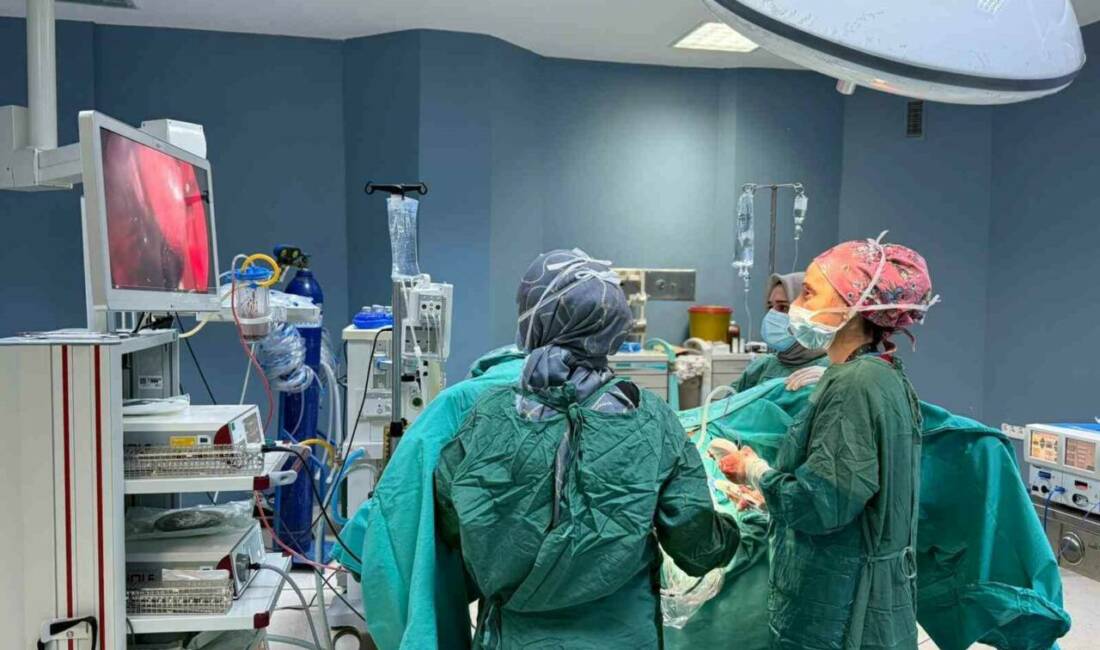 Adıyaman Kahta Devlet Hastanesi'nde Kadın Hastalıkları ve Doğum Uzmanı Op.