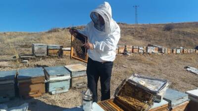 Adıyaman balı, Türkiye'de prolin değeri en yüksek ballardan biridir. Üreticiler,