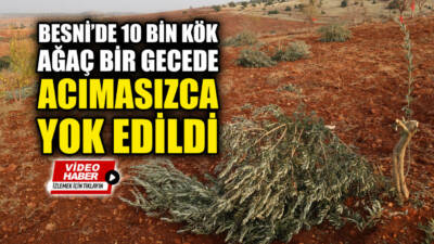 Besni'ye bağlı Akkuyu köyü ile Kesmetepe Belediyesi sınırlarının kesiştiği noktada