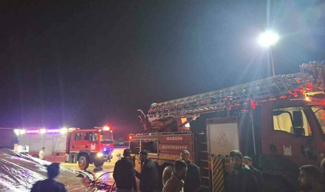 Mardin’de mısır kurutma tesisinde çıkan yangın söndürüldü Mardin Kızıltepe ilçesinde bulunan bir mısır kurutma tesisinde gece geç