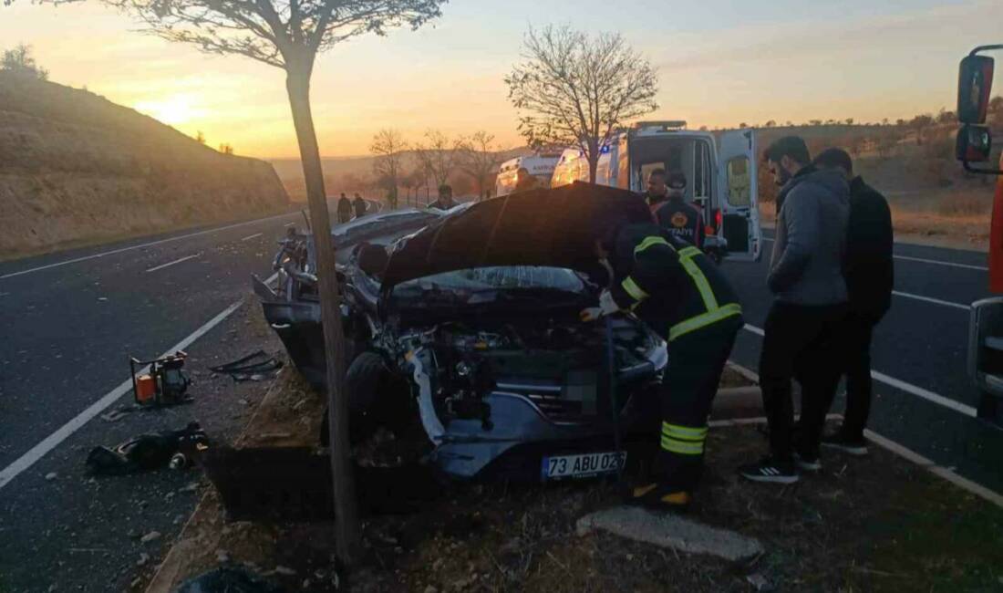 Mardin'de meydana gelen trafik kazasında otomobil ve tır çarpıştı. Kazada