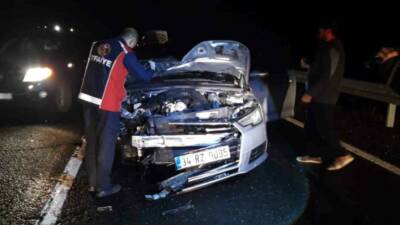 Mardin'in Dargeçit - Midyat yolu Sümer Mahallesi'nde otomobilin atı çarpması