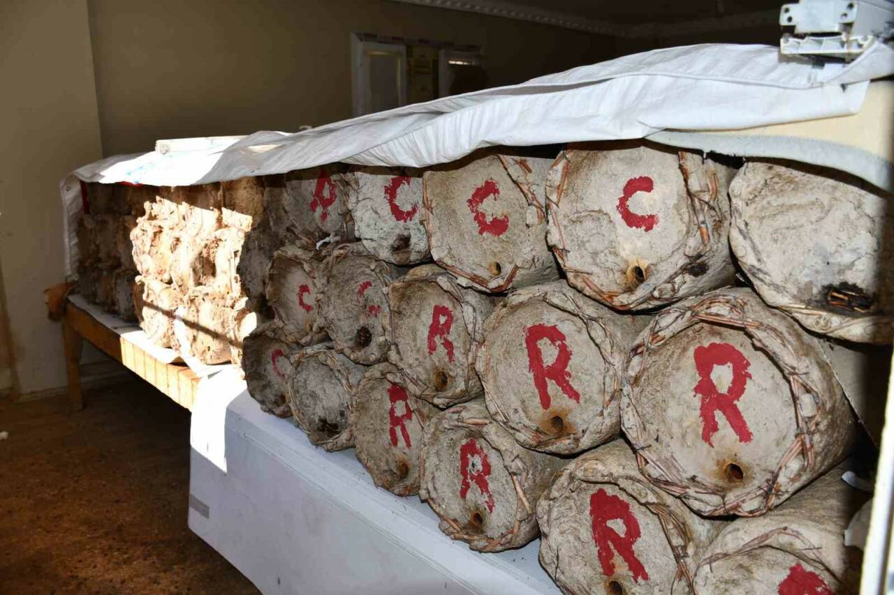 Beytüşşebap ilçesindeki bir üretici, bal arılarını korumak için misafir odasını