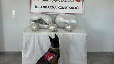 Şanlıurfa'nın Hilvan ilçesinde jandarma tarafından durdurulan bir araçta 25 kilogram