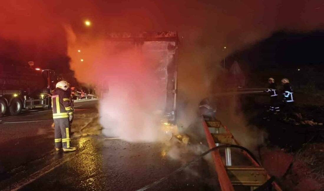 Şanlıurfa-Gaziantep Otoyolu'nda seyir halindeki beyaz eşya yüklü tır aniden alev