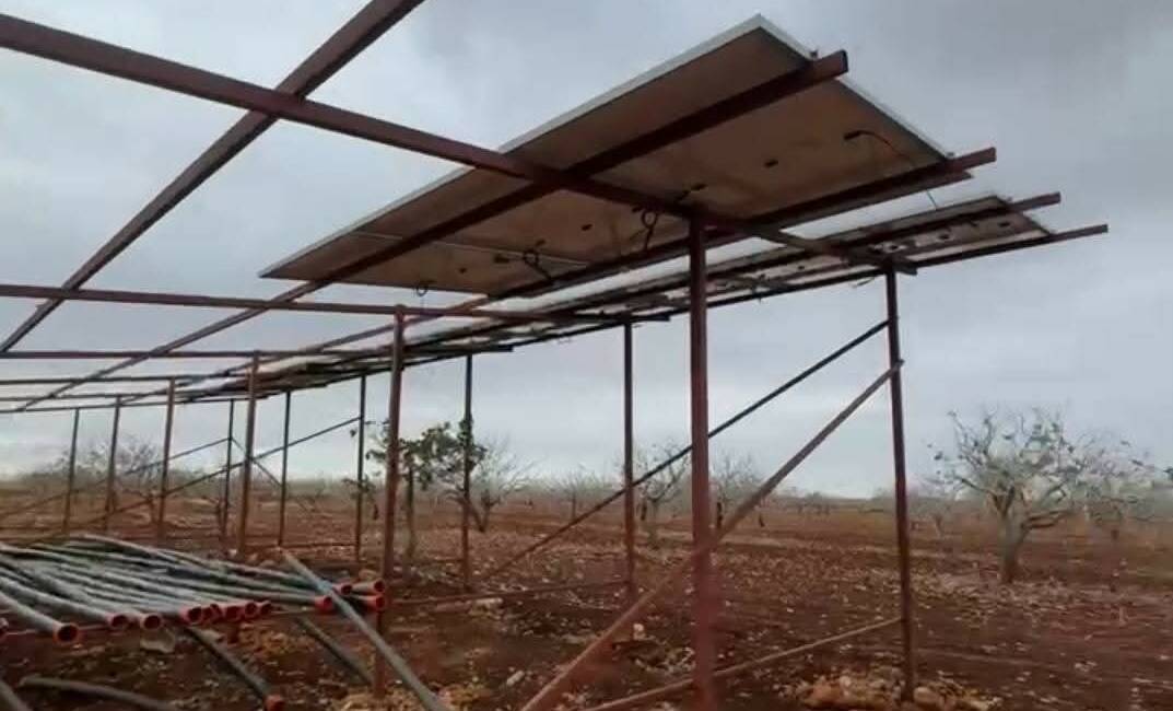 Şanlıurfa'nın Bozova ilçesinde, kırsal Budaklı mahallesinde bulunan bir su kuyusuna