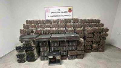 Şanlıurfa'da kripto para madenciliği için kullanılan değeri 7 milyon TL