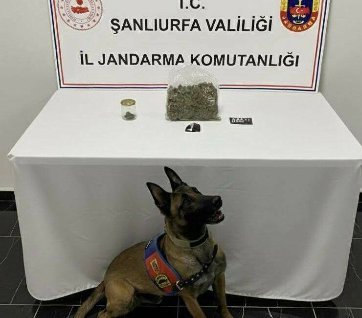 Şanlıurfa'da gerçekleştirilen operasyonda jandarma ekipleri tarafından yapılan aramalarda bir miktar