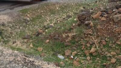 Diyarbakır’ın Çınar ilçesinde seyir halindeki tır alev aldı.