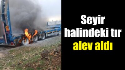 Diyarbakır’ın Çınar ilçesinde seyir halindeki tır alev aldı.