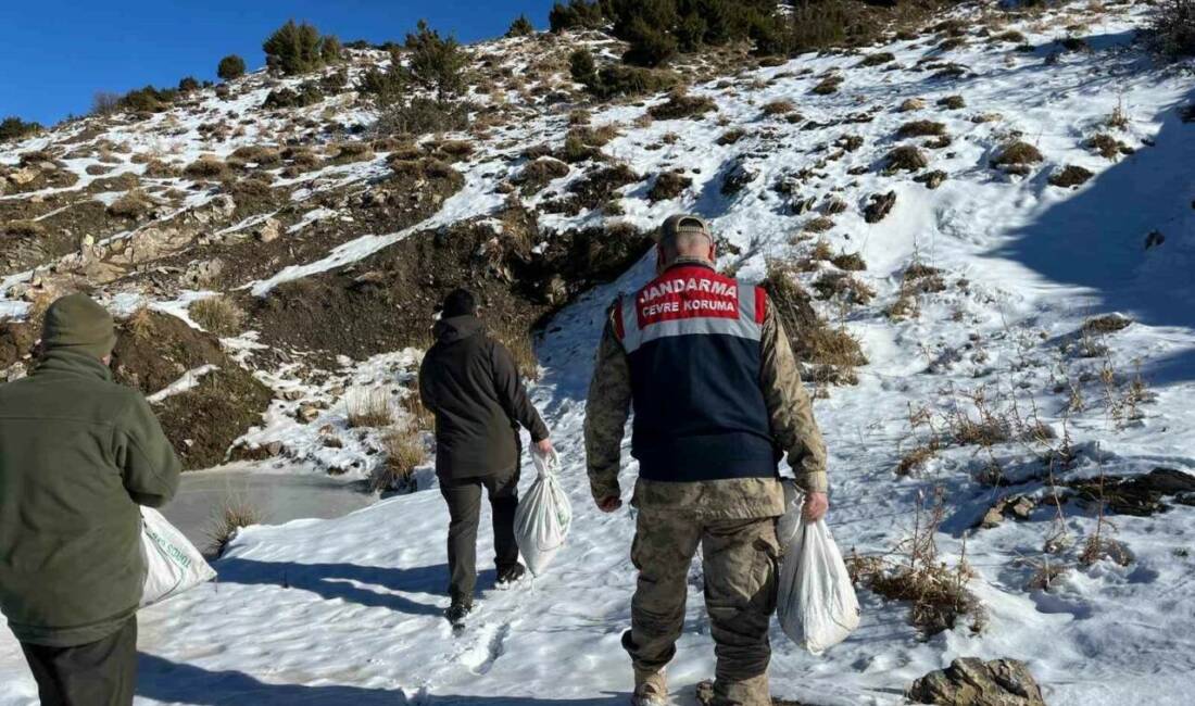 Siirt Doğa Koruma ve Milli Park Müdürlüğü ile İl Jandarma