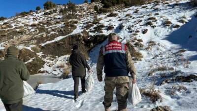 Siirt Doğa Koruma ve Milli Park Müdürlüğü ile İl Jandarma