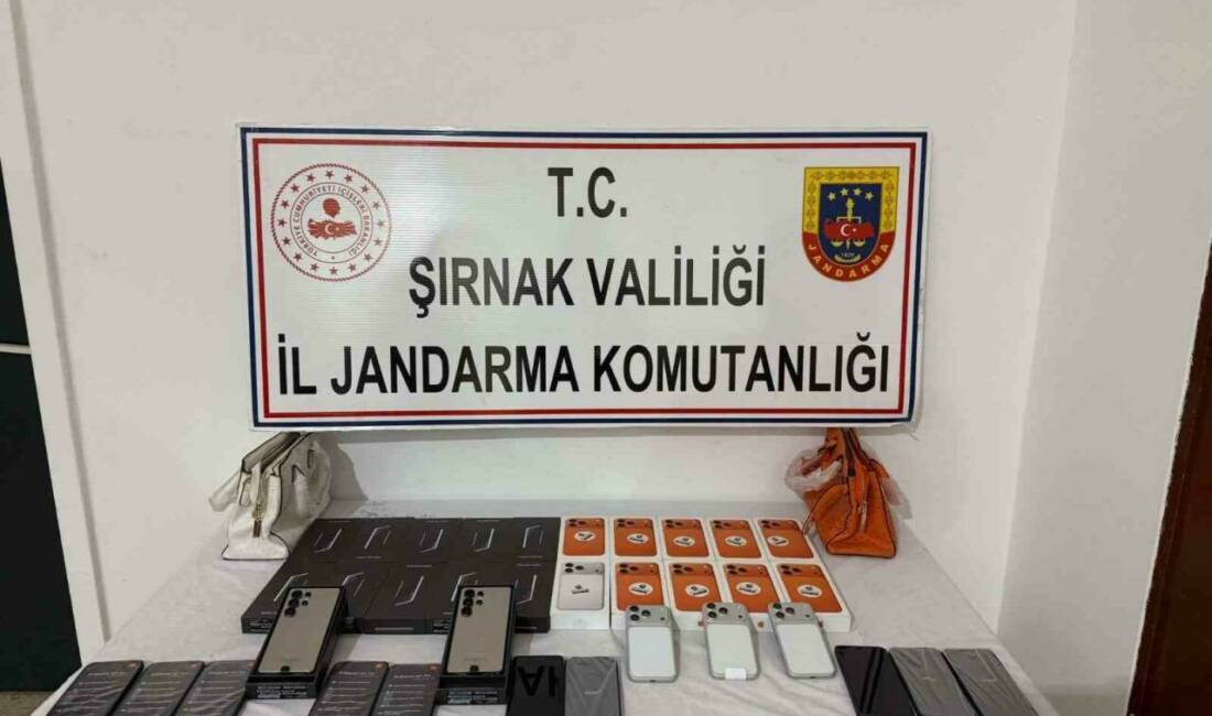 Şırnak İl Jandarma Komutanlığı tarafından düzenlenen operasyonlar sonucunda gümrük kaçağı
