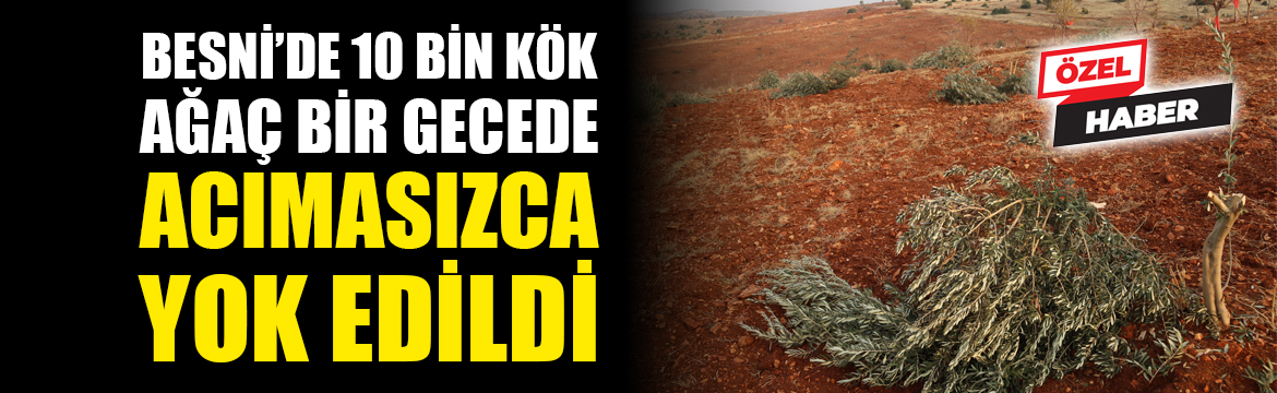 Besni'ye bağlı Akkuyu köyü ile