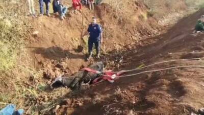 Şanlıurfa'nın Eyyübiye ilçesinde bir inek, tahliye kanalına düştü ancak itfaiye