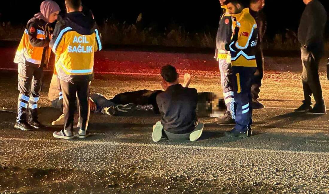 Çınar ilçesinde yaşlı bir adamın otomobilin çarpması sonucu hayatını kaybettiği