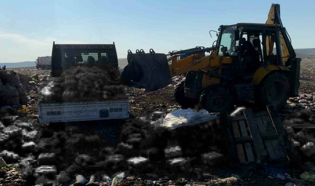 Eyyübiye Belediyesi Zabıta Müdürlüğü, Kadıkendi Mahallesi'ndeki bir işletmenin deposunda gerçekleştirilen