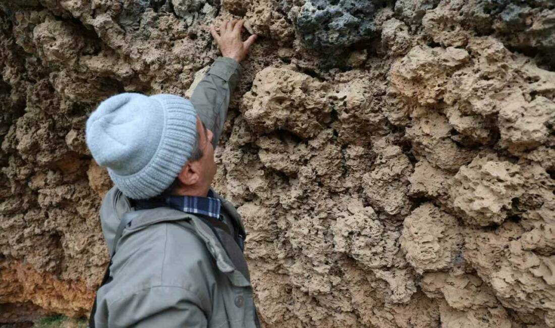 Diyarbakır’ın Kocaköy ilçesinde 1 milyon yıl önce oluşumu tamamlandığı değerlendirilen