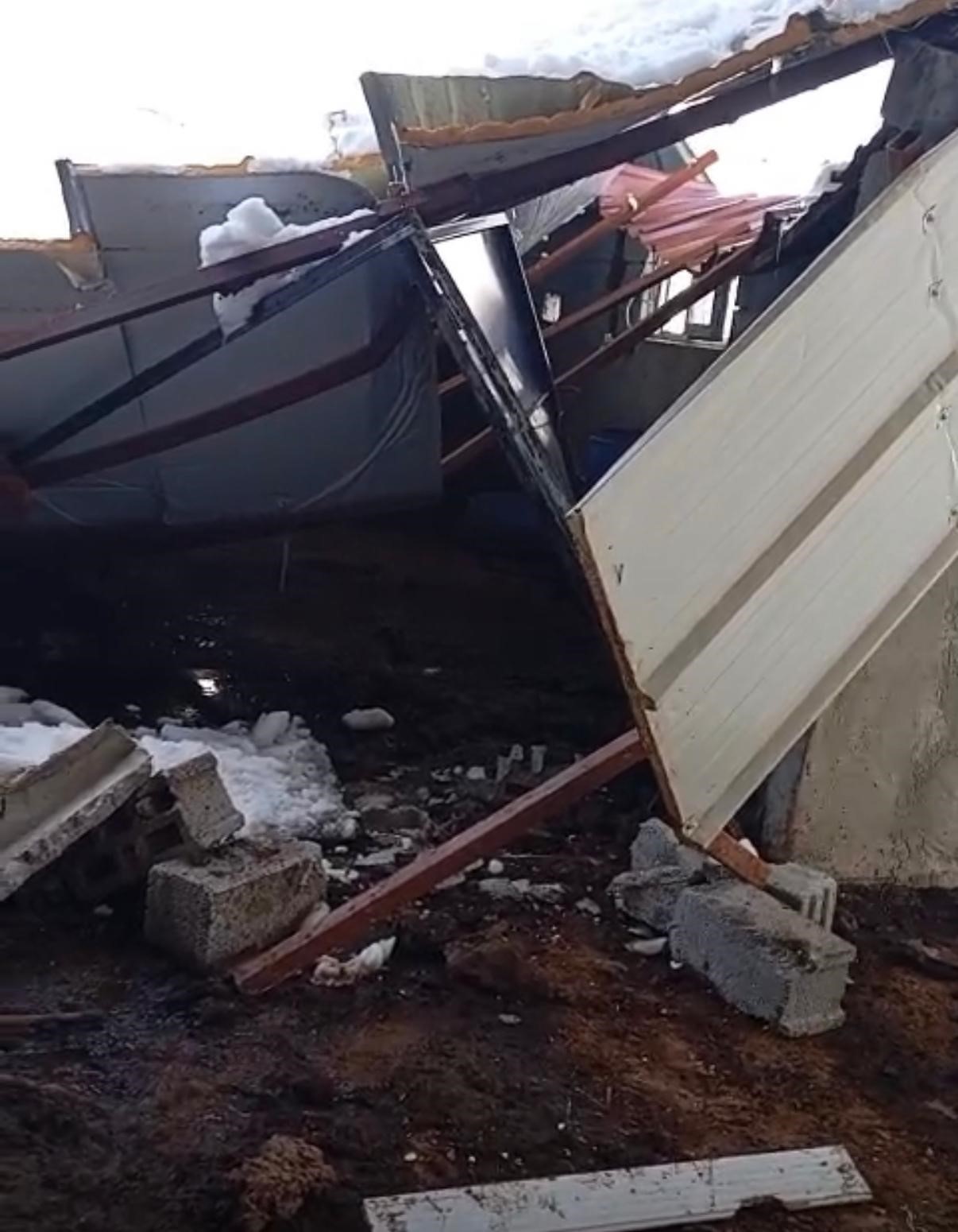 Siirt’in Baykan ilçesinde kar kütlesine dayanamayan hayvan çiftçiliğinin çatısının çökmesi