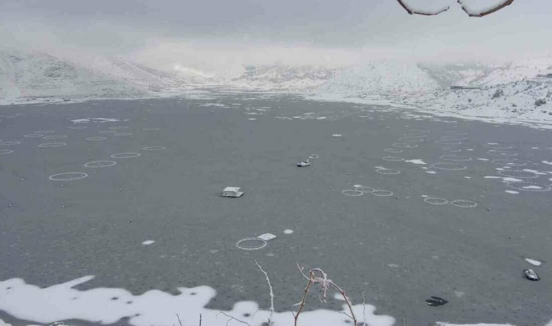 Adıyaman’ın Çelikhan ilçesinde yüzen adaların yer aldığı Çat Barajı’nın yüzeyi