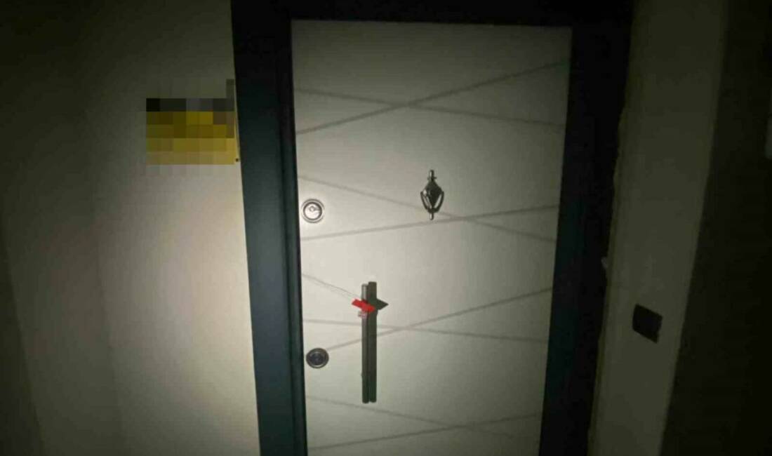 Adıyaman’da polis ekiplerince düzenlenen fuhuş operasyonunda 3 kişi gözaltına alındı.