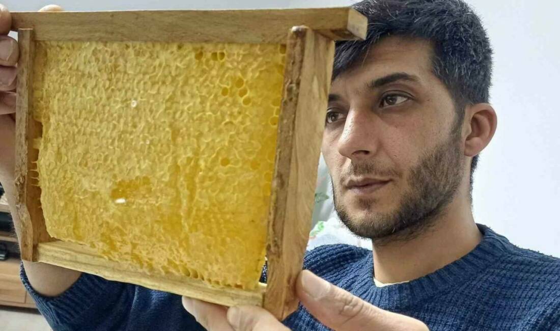 Gaziantep’in Araban ilçesinde doğal ve organik olarak üretilen bal yoğun