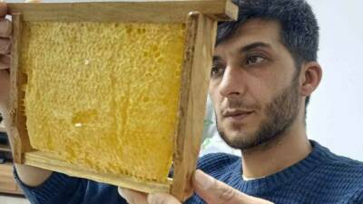 Gaziantep’in Araban ilçesinde doğal ve organik olarak üretilen bal yoğun