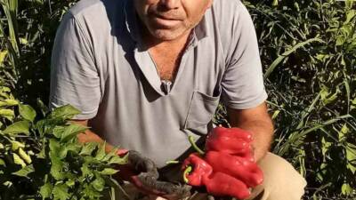 Şanlıurfa’nın Eyyübiye ilçesinde apartmanın 4’üncü katında asansöre binmek isteyen servis