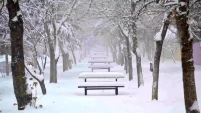 Meteoroloji uyarılarının ardından beklenen kar yağışı, Besni ilçe merkezinde ve