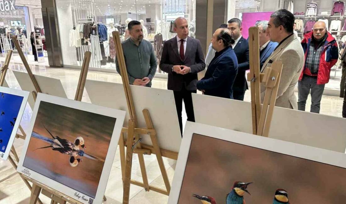 Gaziantep’te, kent sınırlarında çekilen birbirinden özel kuşlara ait fotoğraf sergisi