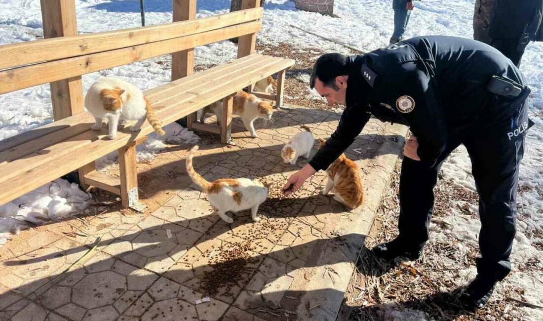 Adıyaman’ın Gölbaşı ilçe Emniyet Müdürlüğü ekipleri, sokak hayvanları için mama