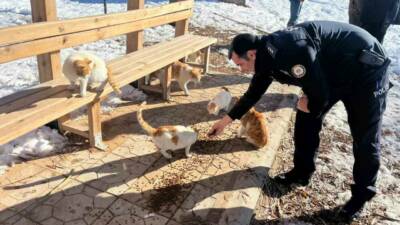Adıyaman’ın Gölbaşı ilçe Emniyet Müdürlüğü ekipleri, sokak hayvanları için mama