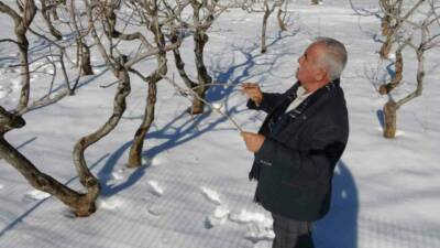 Gaziantep’te kuraklık endişesi yaşayan çiftçilerin yüzü kar yağışıyla gülerken, çiftçi
