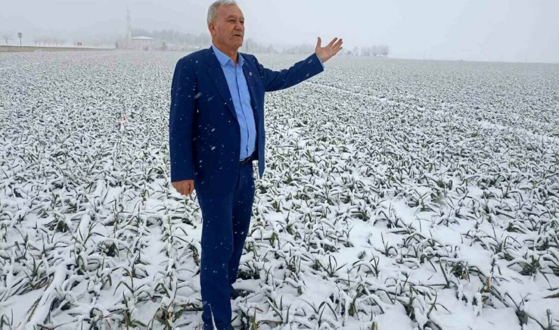 Gaziantep’in Araban ilçesinde üst üste etkili olan kar yağışı AB