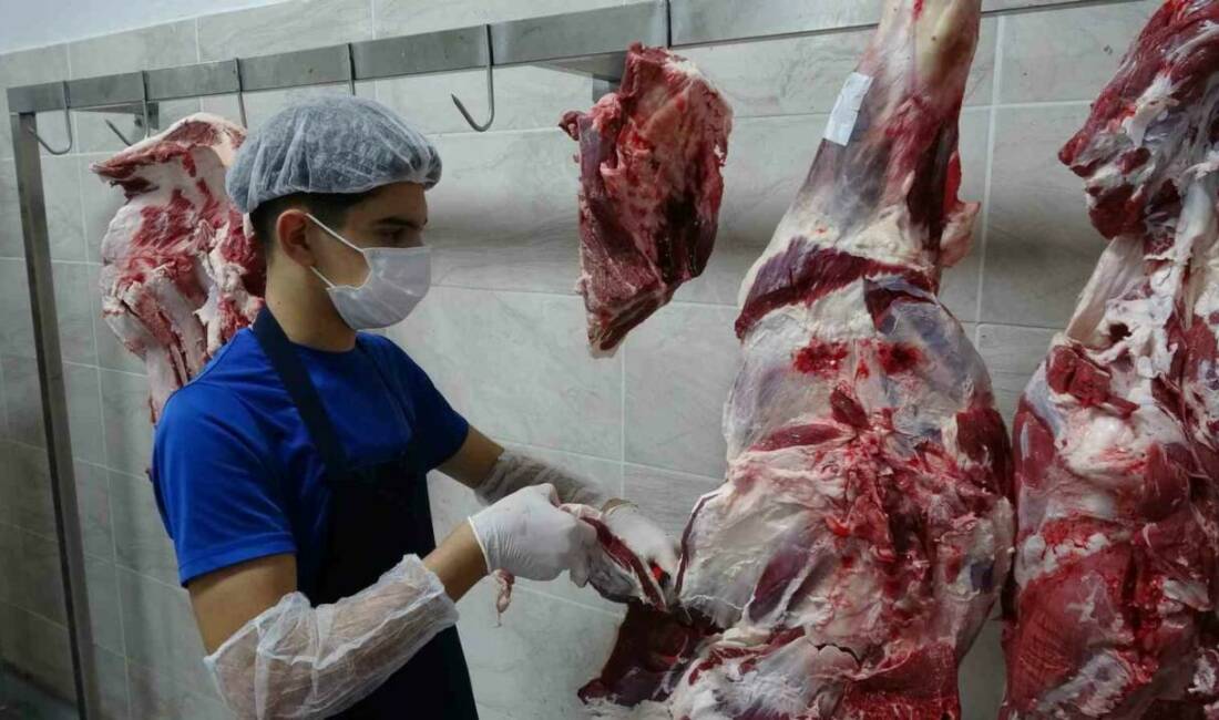 Gaziantep’teki GAHİB Halıcılık ve Dış Ticaret Mesleki ve Teknik Anadolu