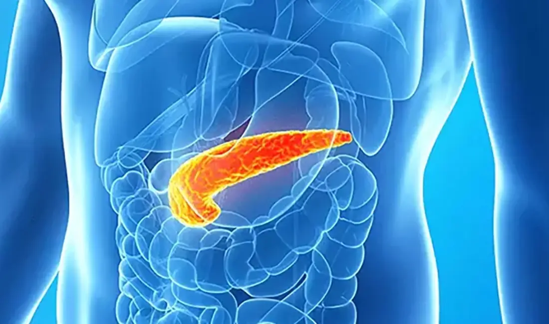 Bilim dünyasında en ölümcül kanser türlerinden biri olarak kabul edilen