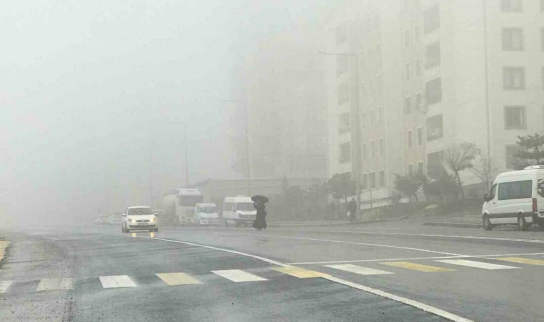 Şanlıurfa’da yoğun sis ve yağış etkili olurken görüş mesafesinin düştüğü