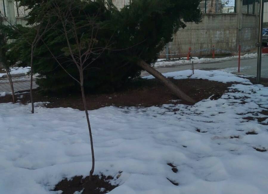 Adıyaman’ın Gölbaşı ilçesinde etkili olan şiddetli rüzgar, hastane bahçesinde bulunan
