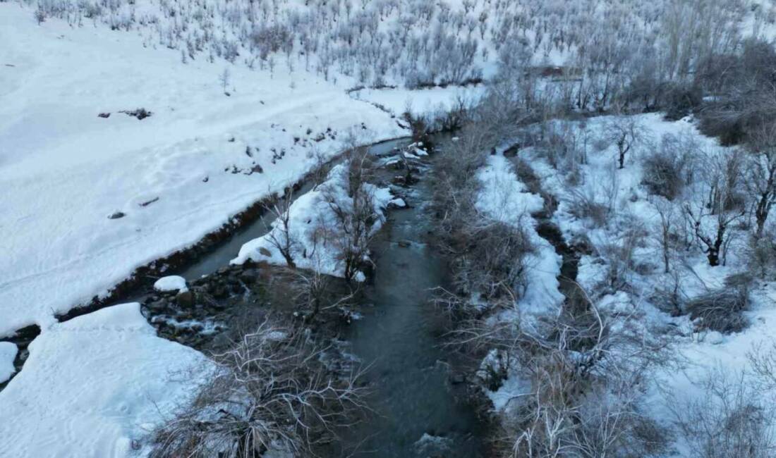 Şırnak’ın Beytüşşebap ilçesinde etkili olan dondurucu soğuklar nedeniyle dereler buz