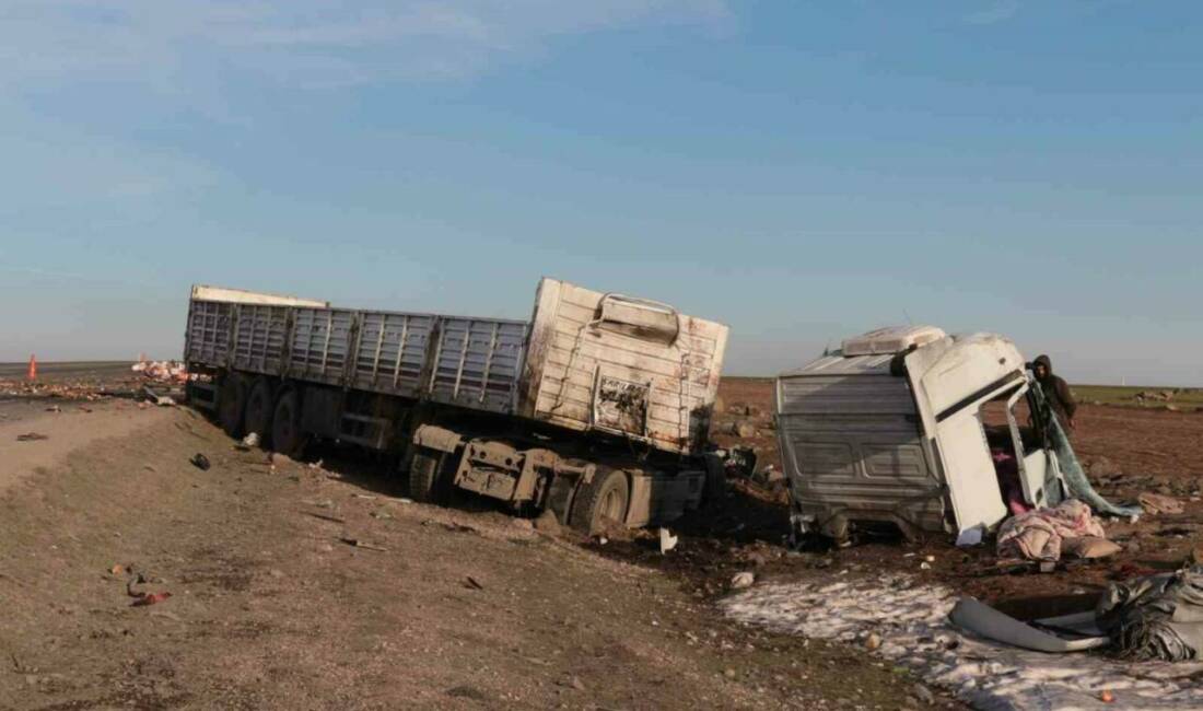 Şırnak’ta Cizre-Nusaybin karayolunda iki tırın çarpışması sonucu meydana gelen trafik