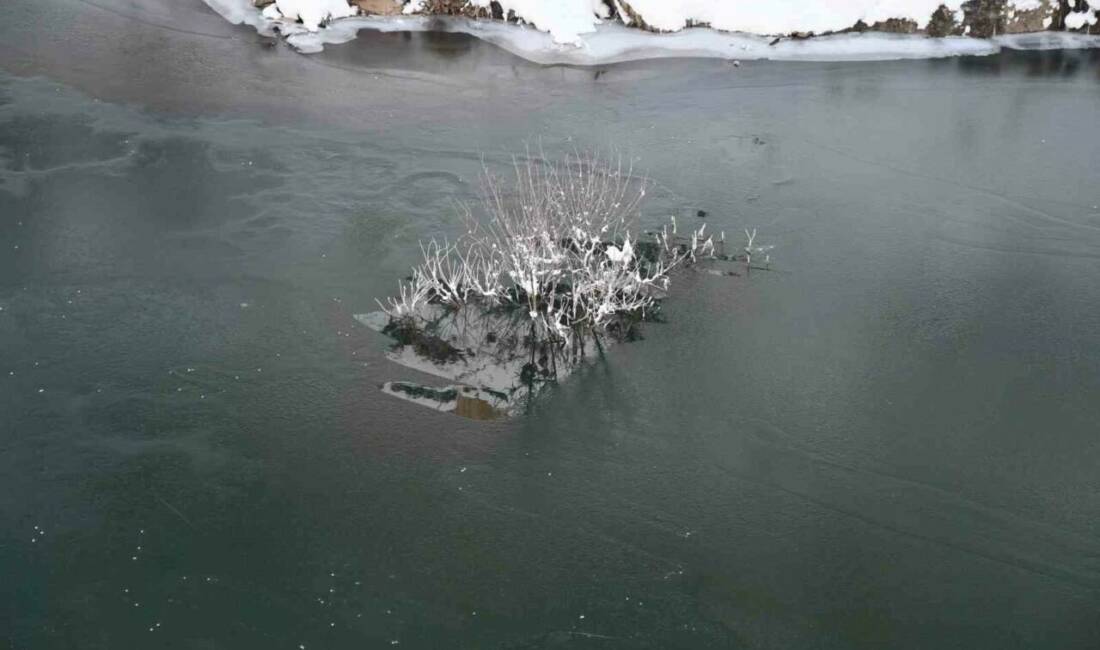 Şırnak’ta Habur Çayı’nın bir kısmı soğuk havanın etkisiyle dondu.