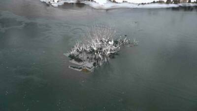 Şırnak’ta Habur Çayı’nın bir kısmı soğuk havanın etkisiyle dondu.