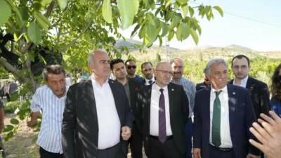 Adıyaman’ın Tut ve Gölbaşı ilçesinde don zararından etkilenen üreticilere nefes