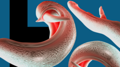 Yeni bir araştırma cinsel organları mesken edinen bu parazitlerin uluslararası