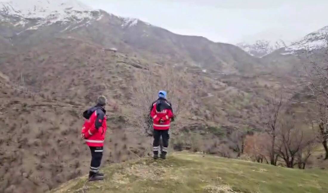 Diyarbakır'ın Kulp ilçesinde 8 gün önce kaybolan 84 yaşındaki zihinsel